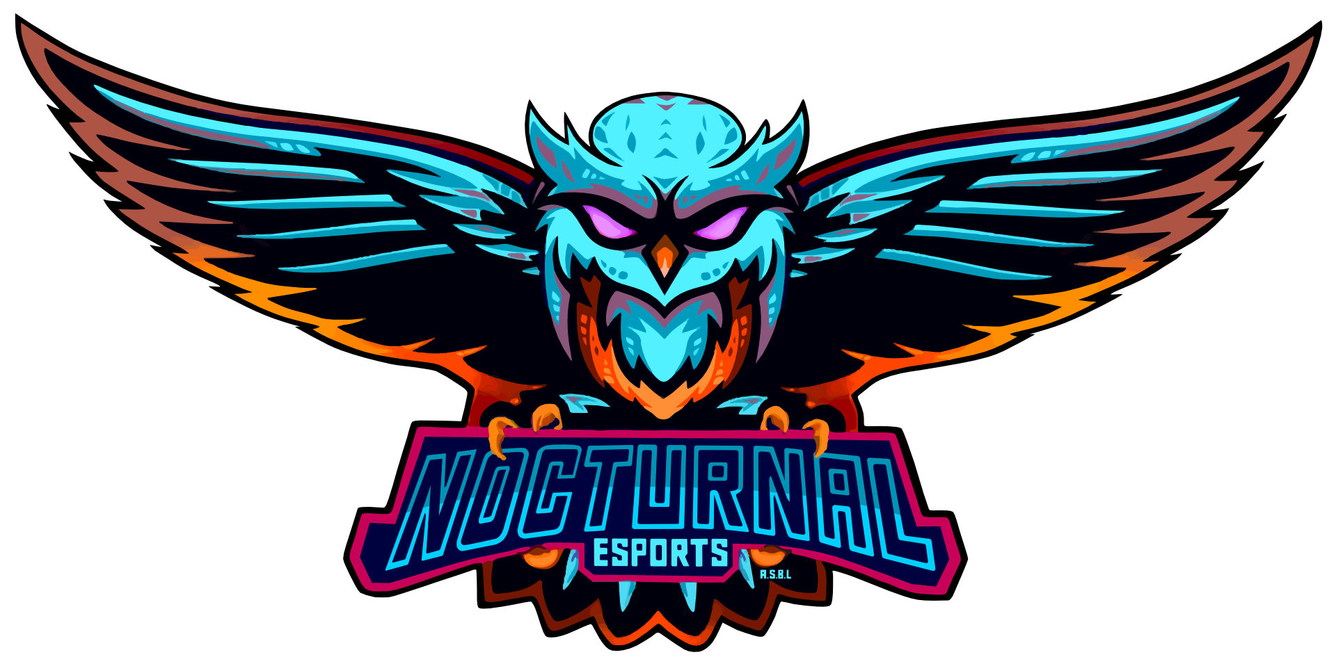 Logo, Nocturnal E-Sports